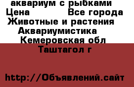 аквариум с рыбками › Цена ­ 1 000 - Все города Животные и растения » Аквариумистика   . Кемеровская обл.,Таштагол г.